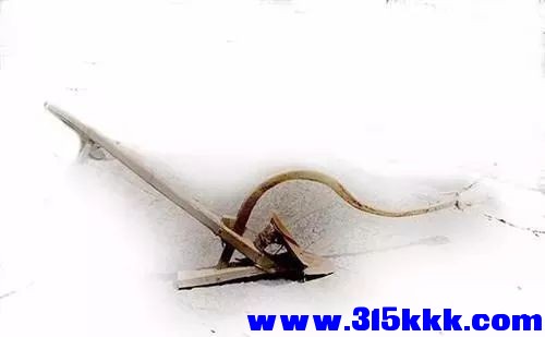 8c1cf232edae47b7b55624a9e4cd92d2.jpeg