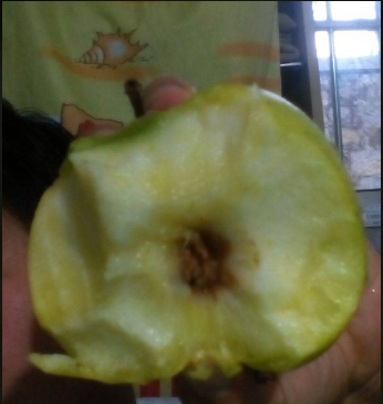 QQ图片20190314112053.png