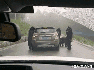 开门，带上我们