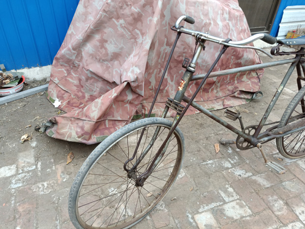 IMG20181115113053.jpg