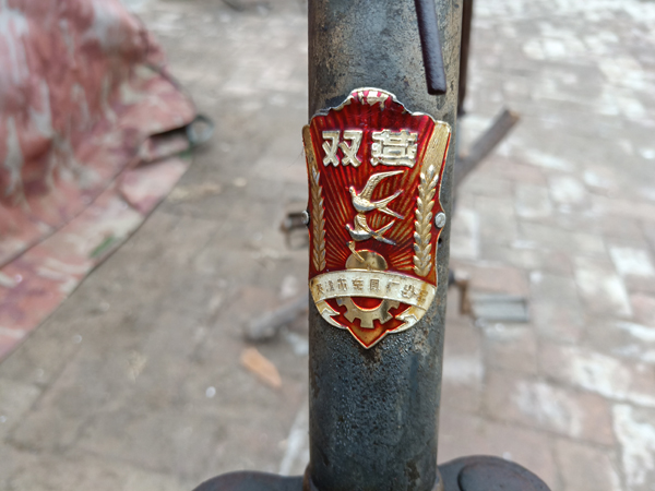 IMG20181115113119.jpg