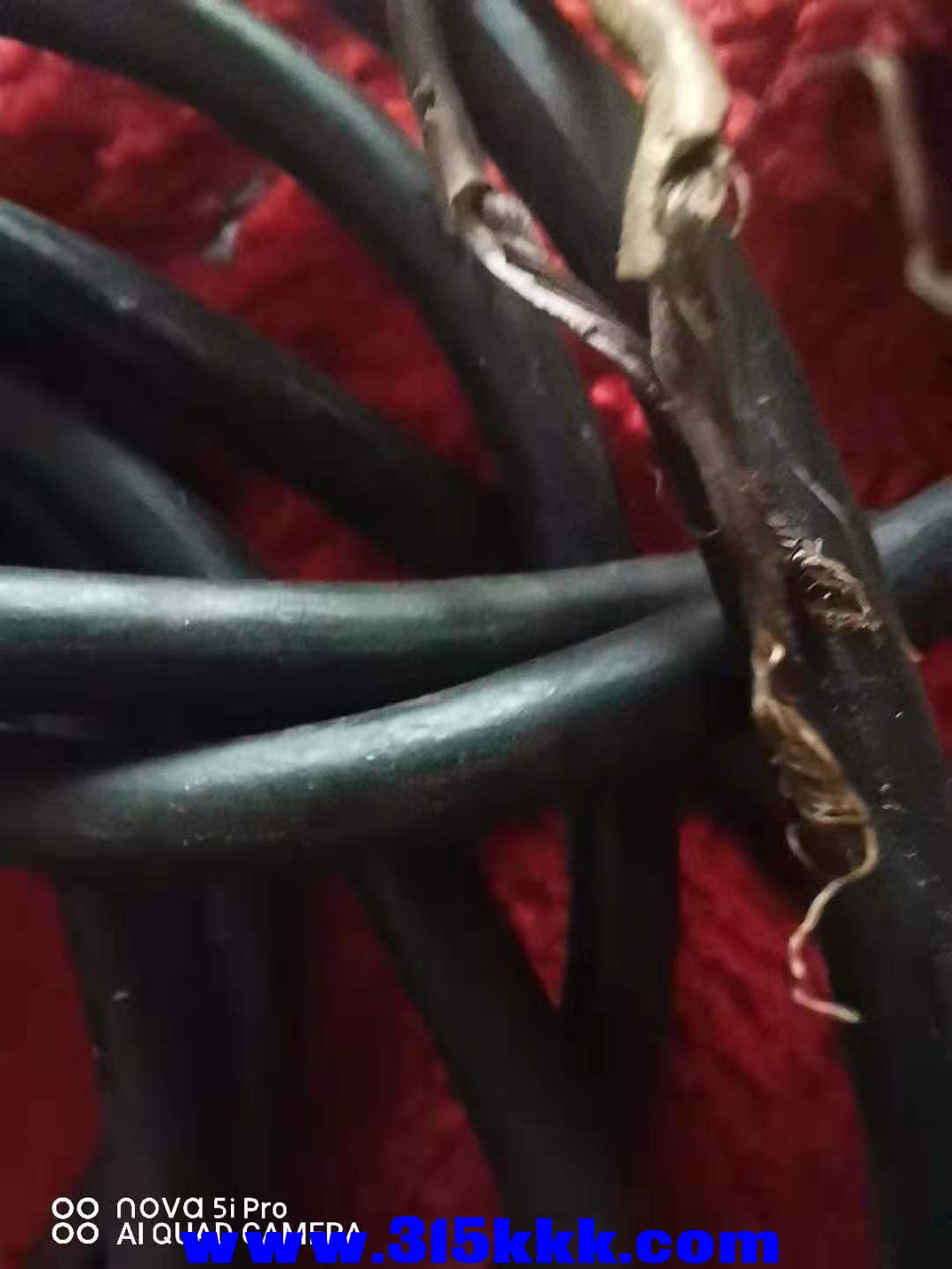 微信图片_202109020749133.jpg