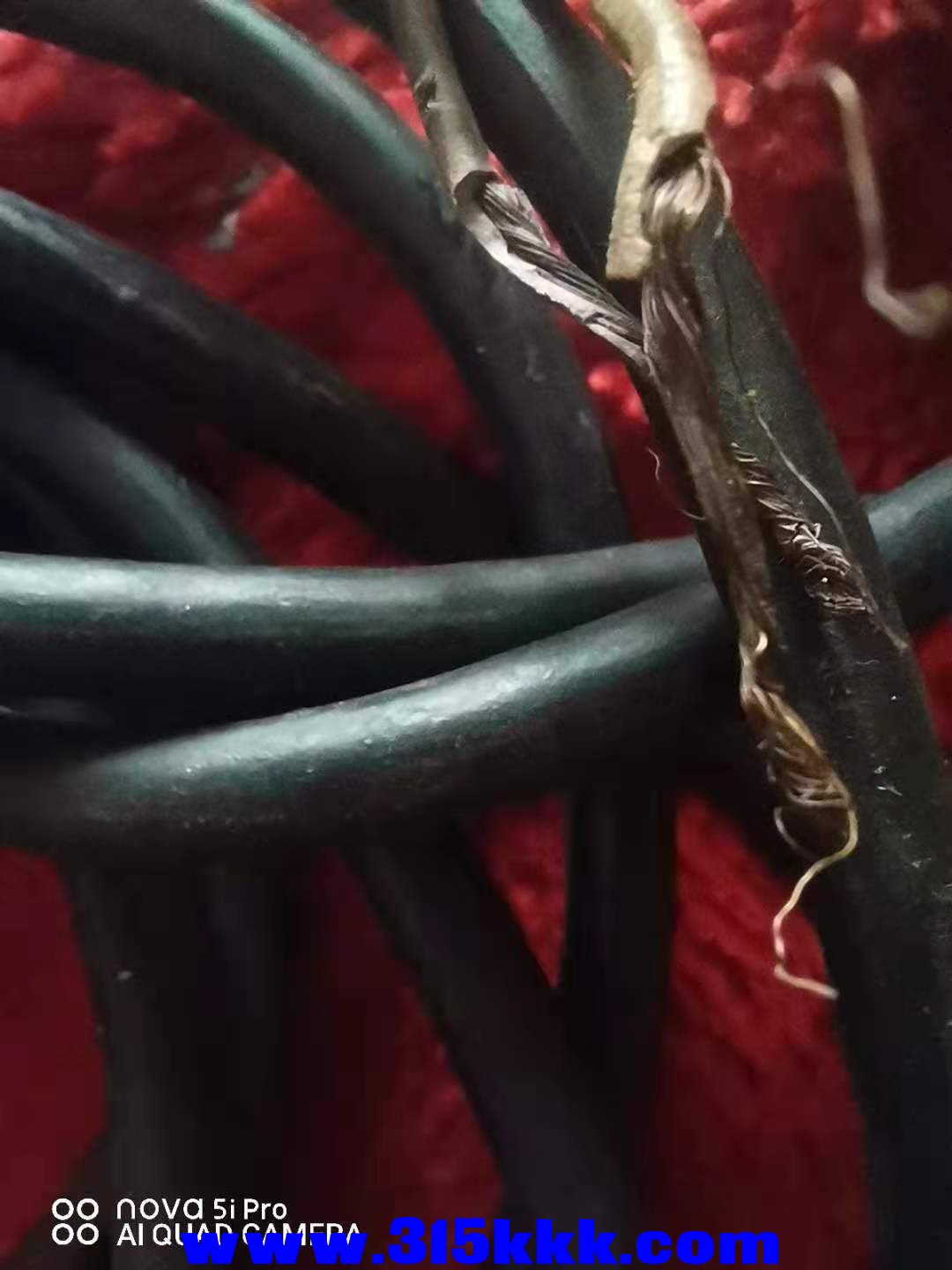 微信图片_202109020749134.jpg