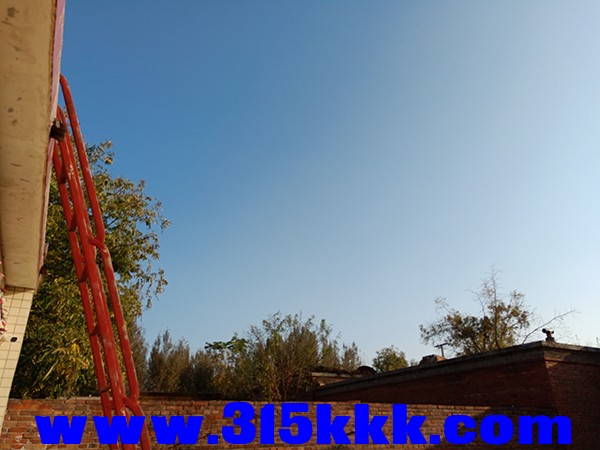 IMG20211026152045.jpg