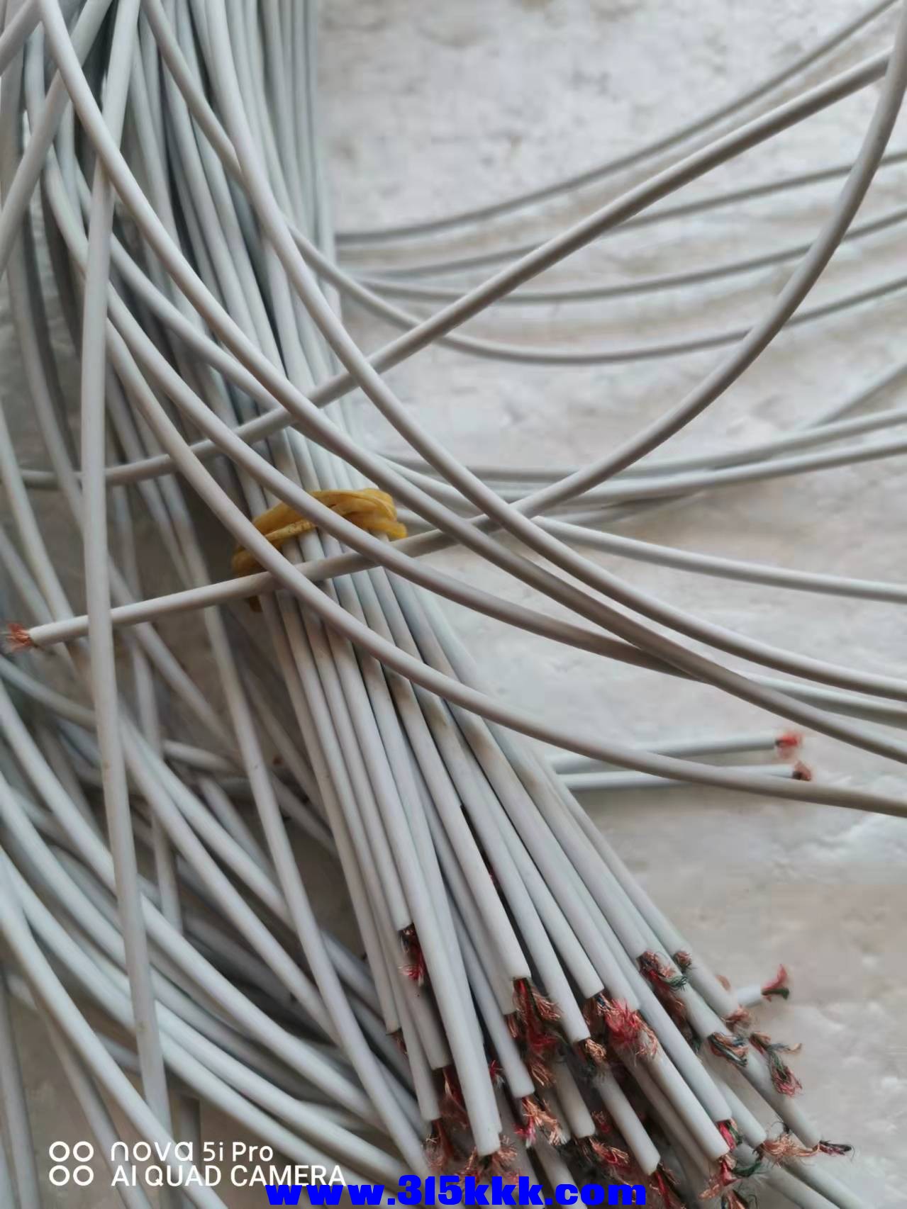 微信图片_2022010811574123.jpg