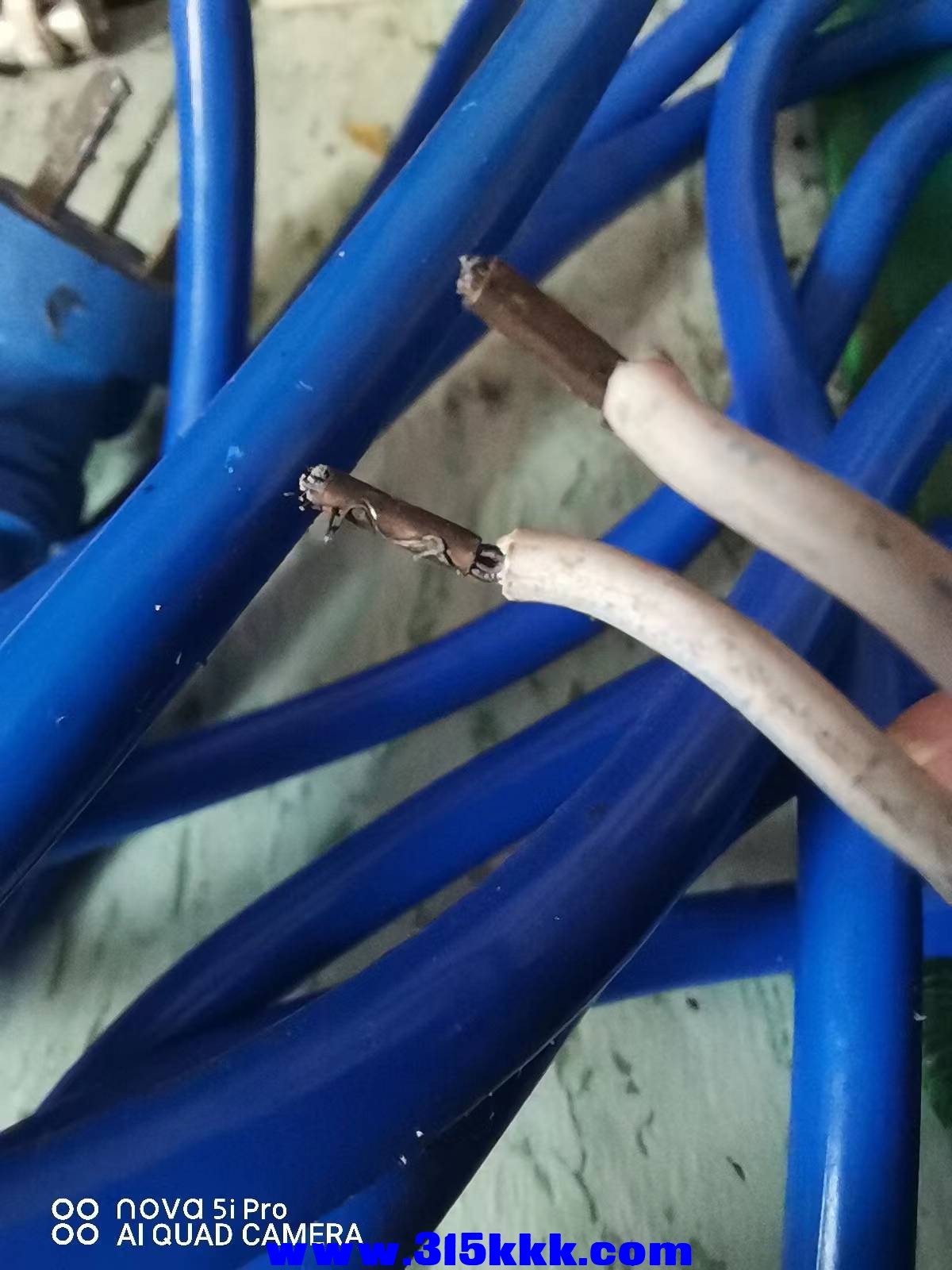 微信图片_2022083009405511.jpg
