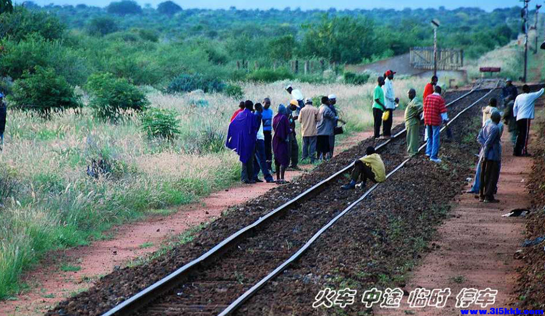 肯尼亚火车！@012.jpg