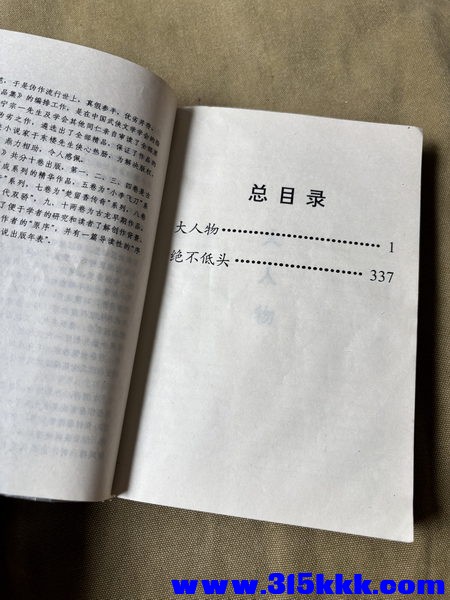 古龙 大人物 05_调整大小.JPG