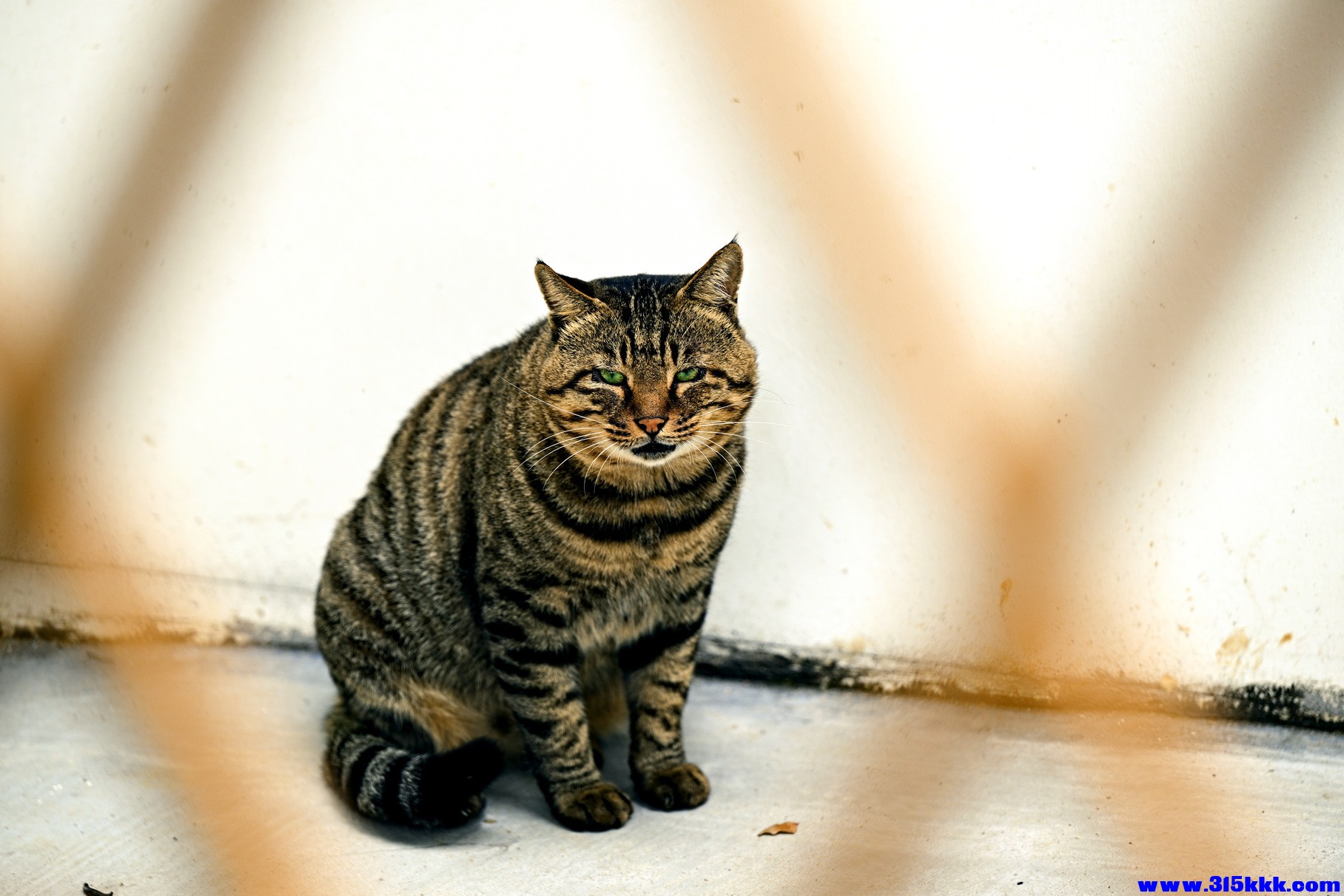 DSC_2094.JPG