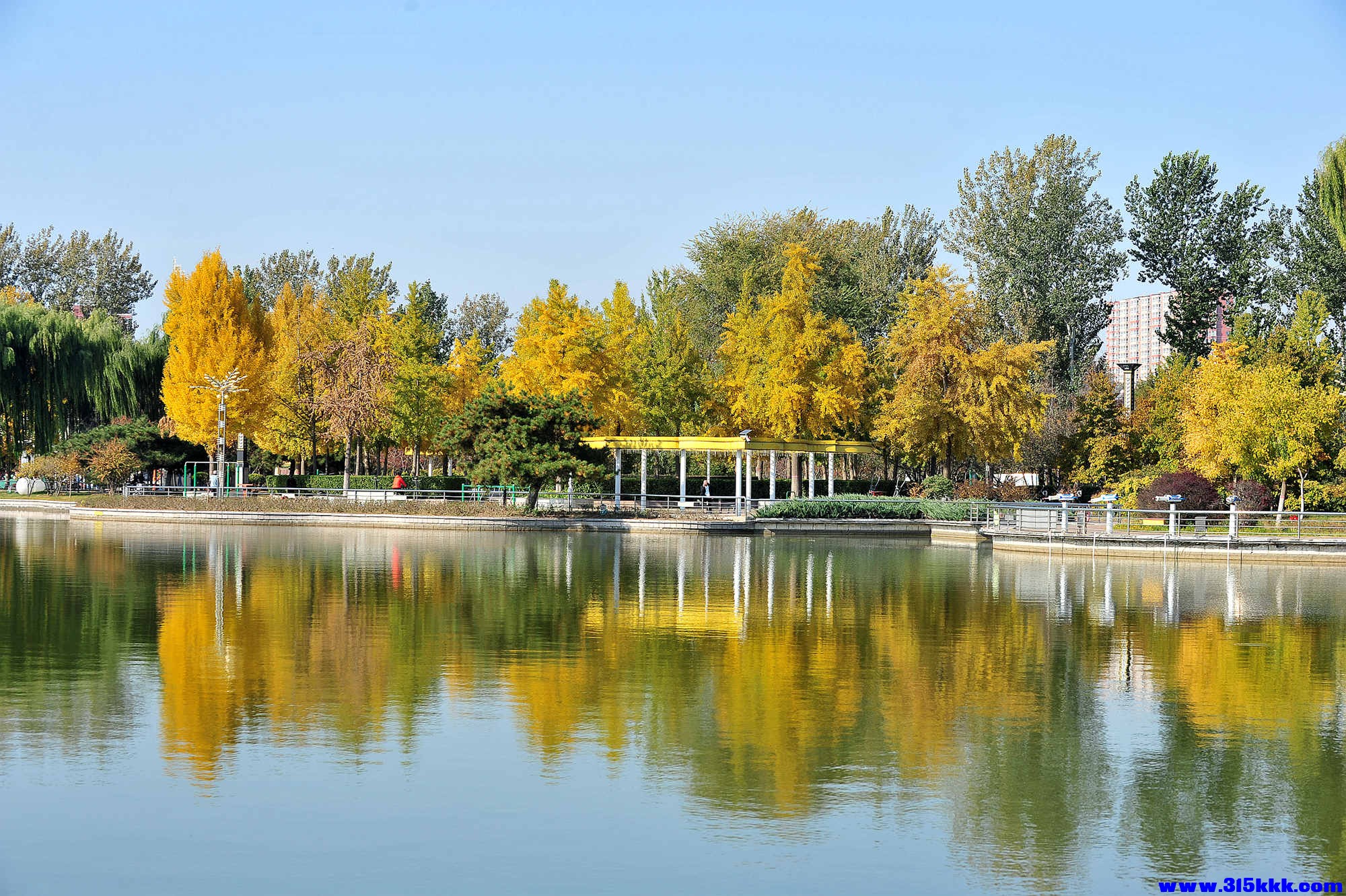 @0022025 11 3@002.jpg