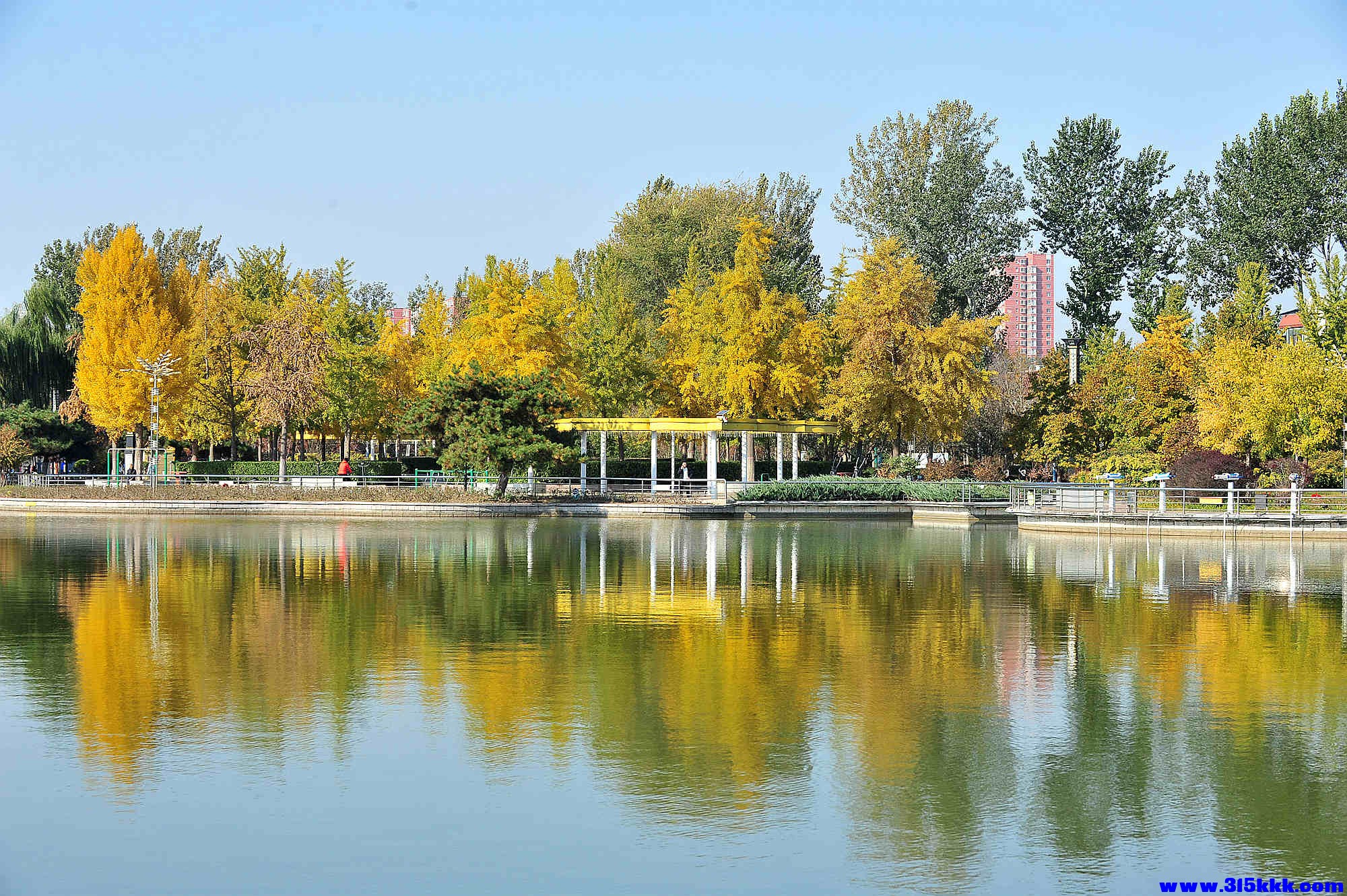 @0042025 11 3@004.jpg