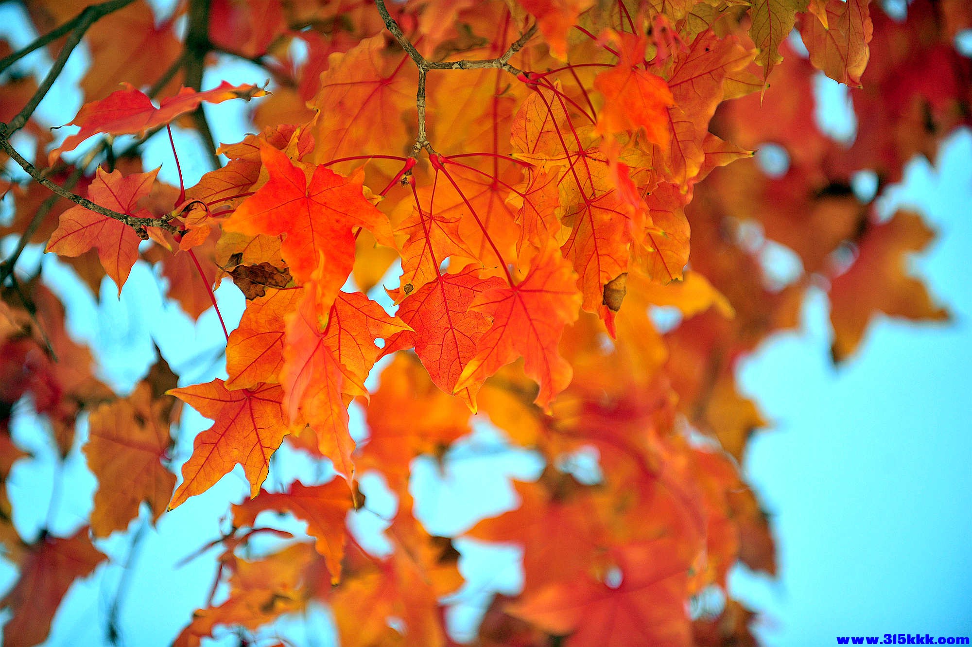 @0072025 11 3@007.jpg