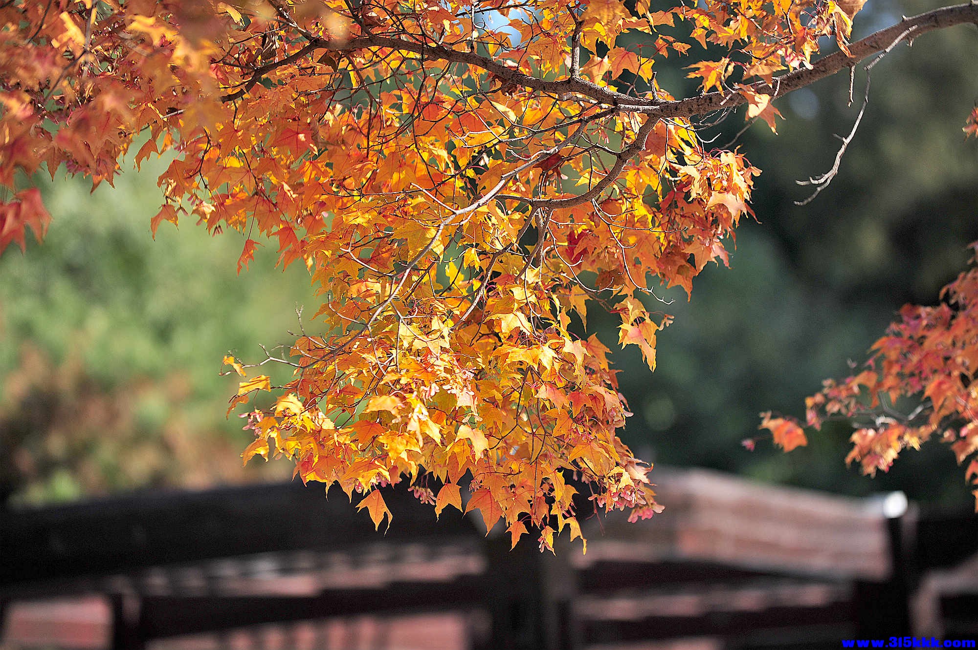 @0092025 11 3@009.jpg