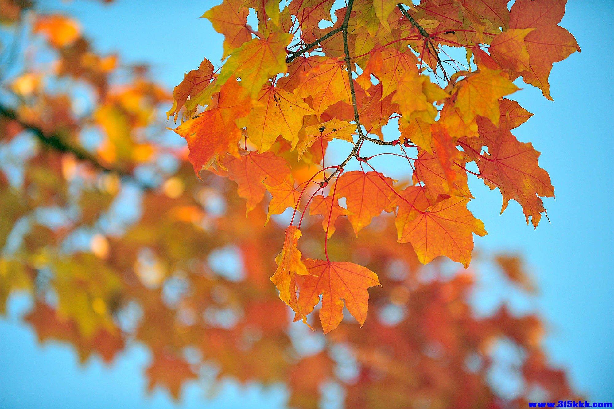 @0112025 11 3@011.jpg