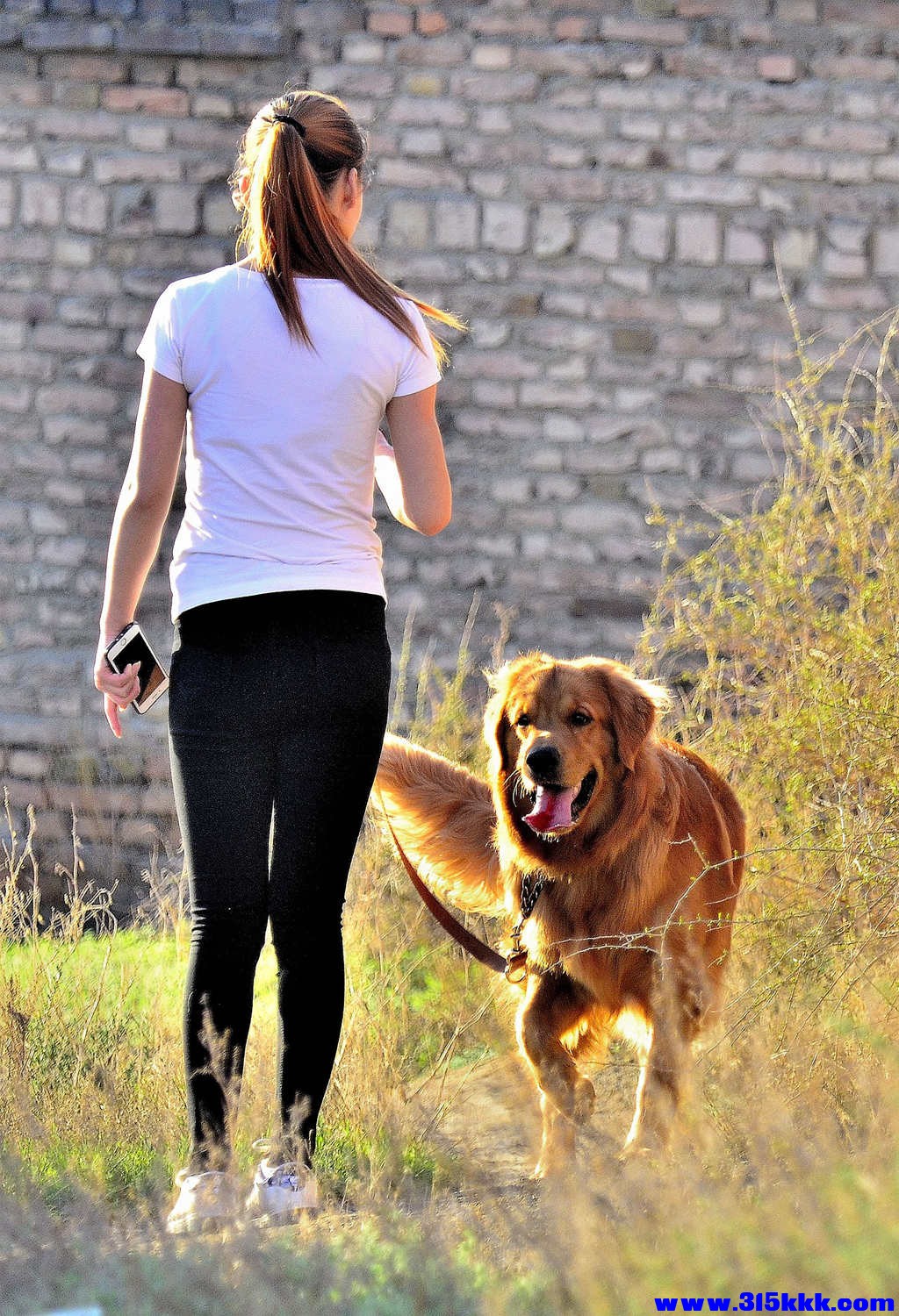 女热狼狗 乌鲁木齐@006.jpg