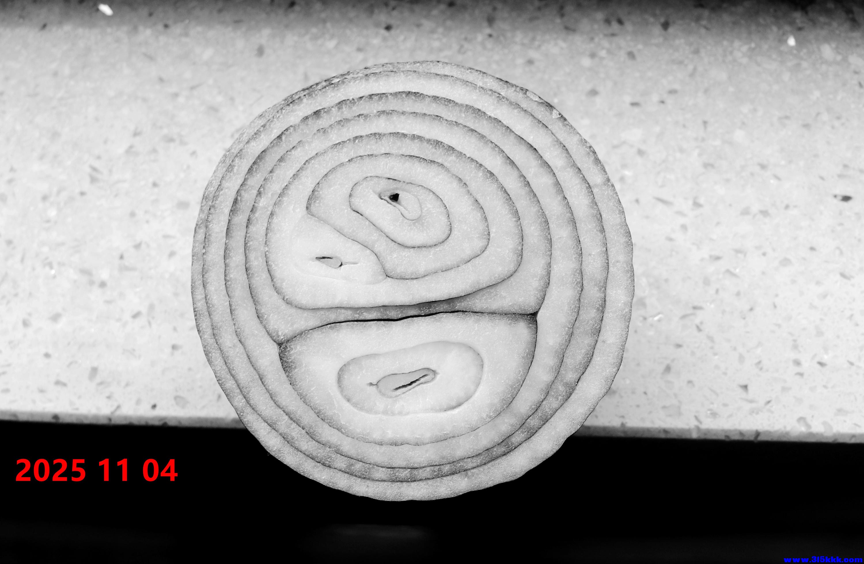 图二：圆葱切面（黑白））