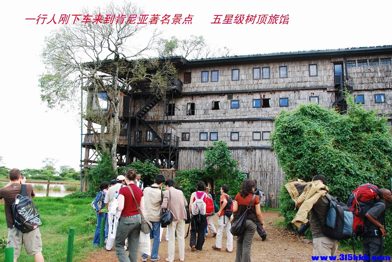 肯尼亚树顶旅馆@001.jpg