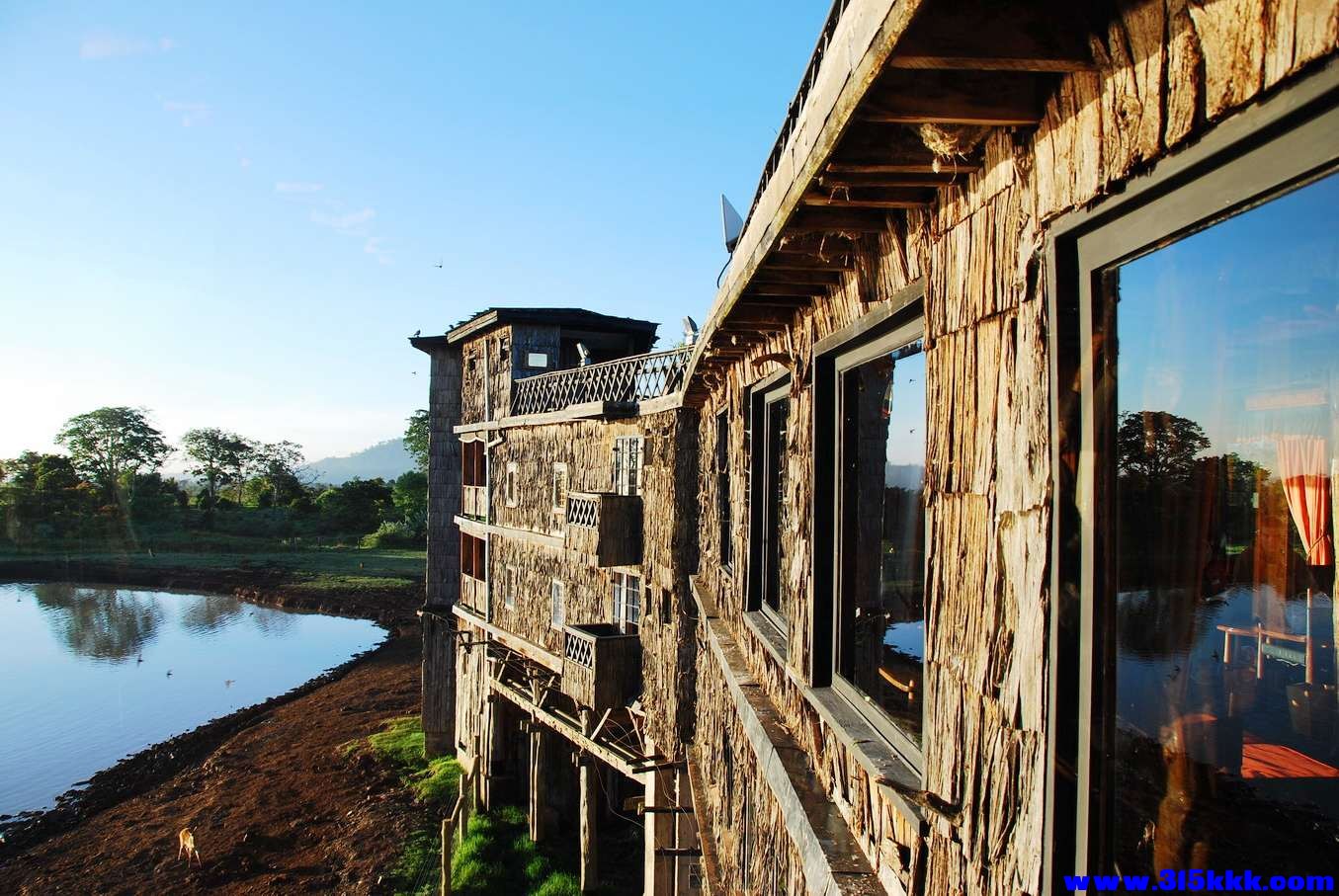 肯尼亚树顶旅馆@005.jpg