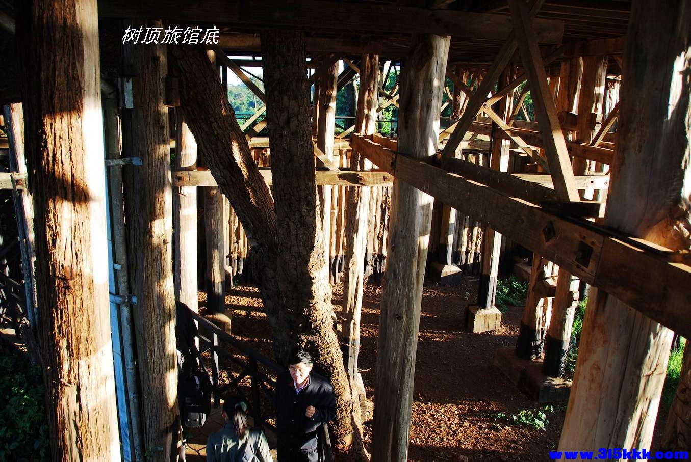 肯尼亚树顶旅馆@010.jpg